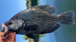 Crappie fishing at Clear Lake, CA