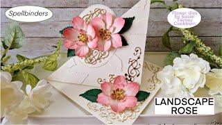 SPELLBINDERS LANDSCAPE ROSE from Susan's Nature's Botanical Garden Collection