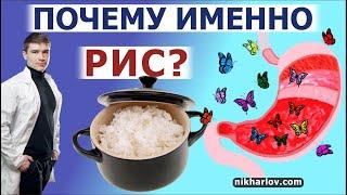 Функциональное питание: зачем есть РИС во время реабилитации пищеварения при гастрите | дуодените.