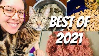 Jess Caticles reviews best raw cat food