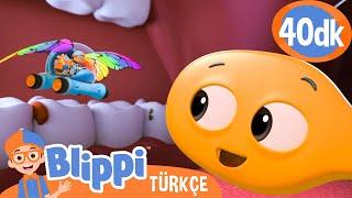 Blippi Bir Diş Fırçasını Keşfediyor | Blippi Türkçe - Çocuklar için Eğitici Videolar