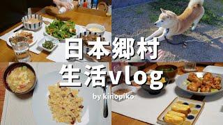 日本生活 Vlog 搬到新家後的生活～拆不完的紙箱 新手DIY 從鄰居家拿到好多蔬菜 好多鄉村初體驗