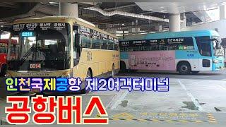 인천국제공항2터미널 공항버스들