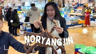 Korea Famous Noryangjin Seafood Market  3.5kg king crab, live octopus, oysters, scallops, etc.