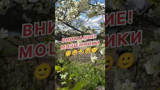 Осторожно, мошенники!