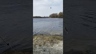 Хапуга ой і  хапуга
