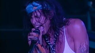 Aerosmith - Live  Pittsburgh, PA 1993