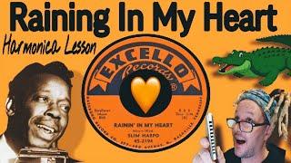 "Raining In My Heart"  Harmonica Lesson (Slim Harpo)