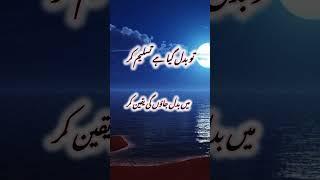 Short videos #foryoupage #foryou #best# amezing words #syeda Poetry