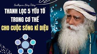 Thanh Lọc 5 Yếu Tố Trong Cơ Thể Cho Cuộc Sống Kì Diệu | Sadhguru Lồng Tiếng #272