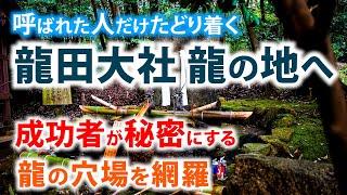 龍神様に呼ばれた人が参拝する神社 つい見逃しがちな参拝場所を網羅【龍田大社】