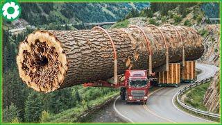 Extreme Dangerous Transport Logging Wood Driving Skill | Biggest Heavy Machinery Machines