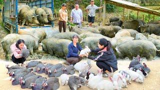 REWIND TIMELAPSE --299 Days Sell Pigs Weighing 110Kg, Sell Ducks, Sell Chicken /Phương's Story