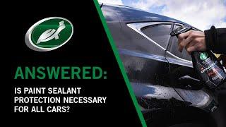 Is Paint Sealant Protection Necessary for All Cars?