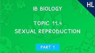 IB Biology Topic 11.4 (HL): Sexual reproduction - Part 1