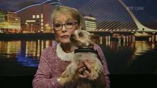 Derek Acorah does a psychic reading on Twink's dog Teddy | Today | RTÉ ONE