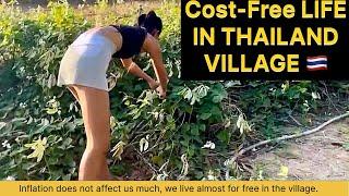 COST-FREE Life in THAILAND  LIFE IN VILLAGE (slow life but better quality) #thaigirl #villagelife