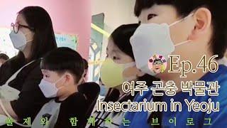 (Eng Sub)[브이로그]Ep.46 여주 곤충박물관(Insectarium in Yeoju)