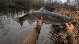 Wisconsin Trout Fishing - Up North! 11/1-11/3.