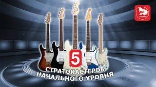 ТОП-5 Доступных электрогитар Stratocaster, какую гитару купить новичку?