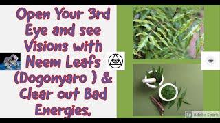 How to Get into Trance and see Visions with Neem Leafs (Dogonyaro ) & Clear out Bad Energies.