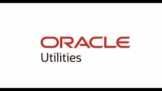 Oracle Utilities Live Energy Connect Configuration Manager Tutorial Part 2