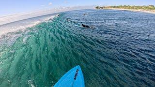 Epic Afternoon Surf at Balangan Beach | Perfect Waves for Beginners & Intermediates!