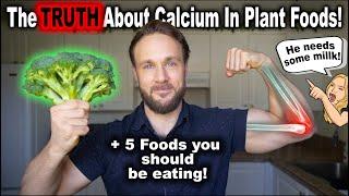 Top 5 Calcium Rich Plant Foods 