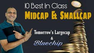 TOP 10 MIDCAP AND SMALLCAP | How i know | Easy and smart Investment | SK H and W | you can do...