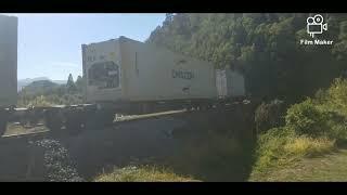 Trains Around Picton. dairy train and Coastal Pacific