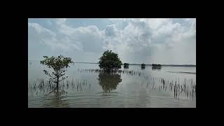 Sambranikodi island boating #travel #nature #keralatourism #kerala