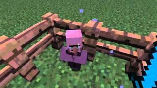 Minecraft-How to make babies zombie