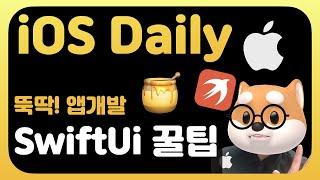 매일 iOS 앱개발 뽀개기 -  SwiftUi 앱개발 꿀팁