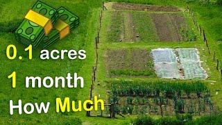 How Much Did I Make In 1 Month Of Selling Vegetables on just 0.1 of Land.