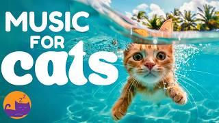 12 Hours of Magic Music for Cats - Sleep Music for Cats and Kittens 