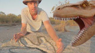 Dinosaur footprints of Broome, Western Australia - Biodiversity Shorts #22