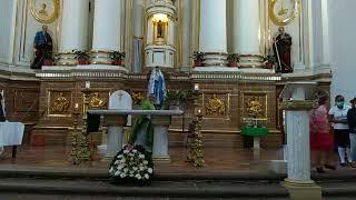 Celebracion de misa dominical en zimapan hidalgo