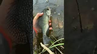 I Went Fishing at a NATIONAL PARK!! #shorts