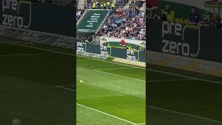 FC Cologne’s Florian Kainz scores penalty against Hoffenheim #bundesliga