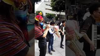 MUSICA EN Zona Rosa CDMX