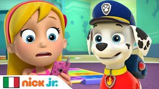 PAW Patrol - La Squadra dei Cuccioli | Marshall è a Casa da Solo? | Nick Jr.