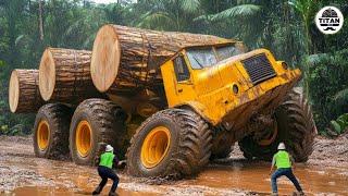 Amazing Fastest Big Tree Cutting Machines | Dangerous Tree Harvester Stump Destroy Machines #43