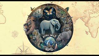 Born Wild - Animal Sound Library - Trailer Video