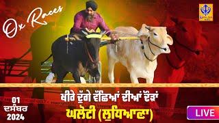 [Live] Ghaloti | Ludhiana | ਖੀਰੇ ਦੁੱਗੇ ਵੱਛਿਆਂ ਦੀਆਂ ਦੌੜਾਂ | Ox Races | 01 Dec 2024 | Khalsaji Tv