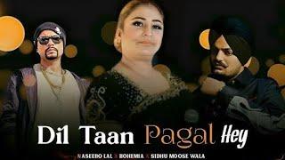 dil ta pagal hai naseebo lal_X_Bohemia_X_Sidhu moose wala | Prod_By. SoundSpellOfficial