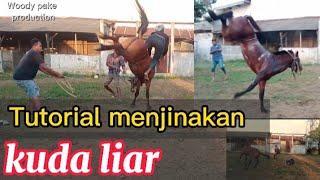 Tutorial menjinakan kuda liar