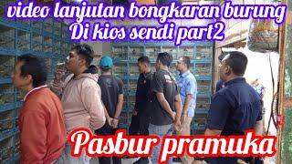 video lanjutan bongkaran burung, di kios sendi, part,2 pasbur pramuka,