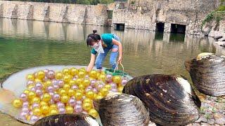  Youth melody! The beautiful woman found a big clam from the river, containing beautiful pearls!