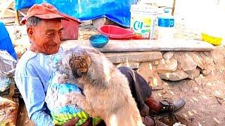 50 años vive el hombre solo en la orilla del mar los amigos llevan regalos para el // TIO Adrián //