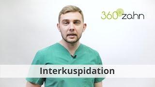 Interkuspidation - Was bedeutet Interkuspidation? | Dental-Lexikon | 360°zahn